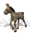 illustration - horse_with_halter_trotting_md_wht-gif